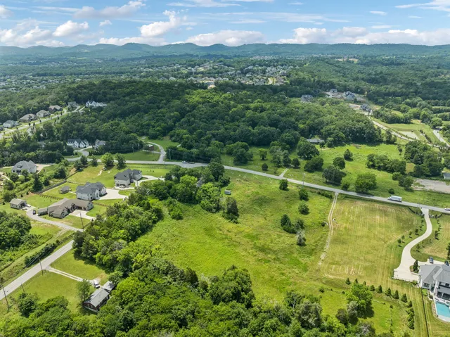 a view of a city with lush green forest
