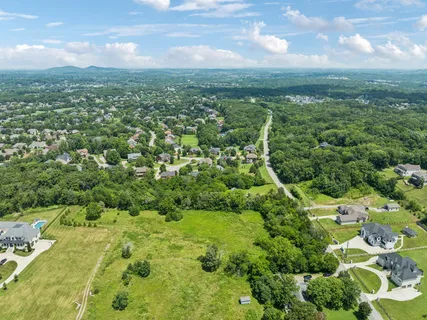 a view of a city with lush green forest