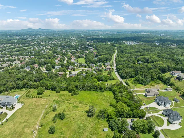 a view of a city with lush green forest