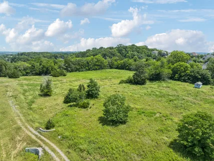 a view of a big yard with lots of green space