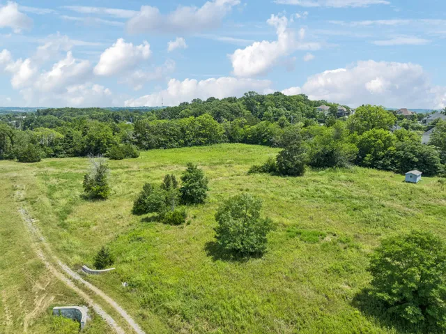 a view of a big yard with lots of green space