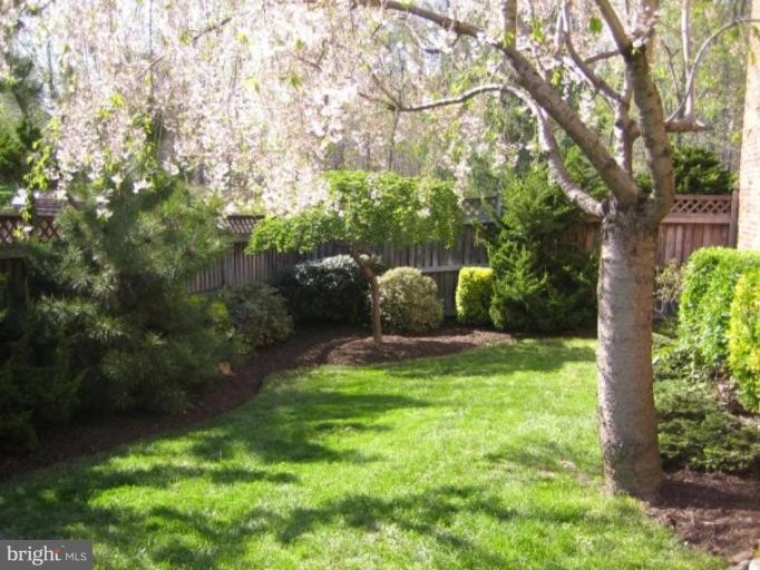 903 Elm Road Halethorpe, MD 21227 - Photo 17 of 24 Other #5
