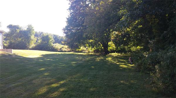 20 B Cheney Road Pomfret, CT 06259 - Photo 3 of 7 a view of yard with tree