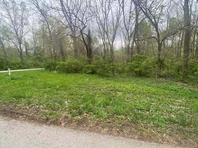 $705,000 | 16380 Joy Drive, Lawson, MO 64062