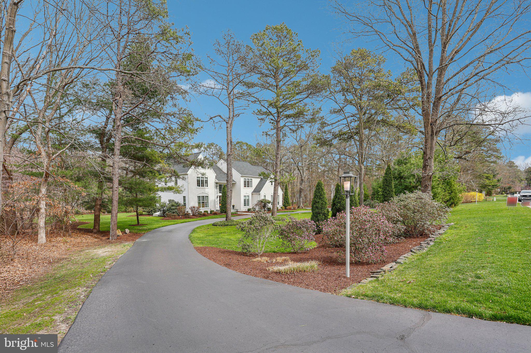 a view of a street with a large trees