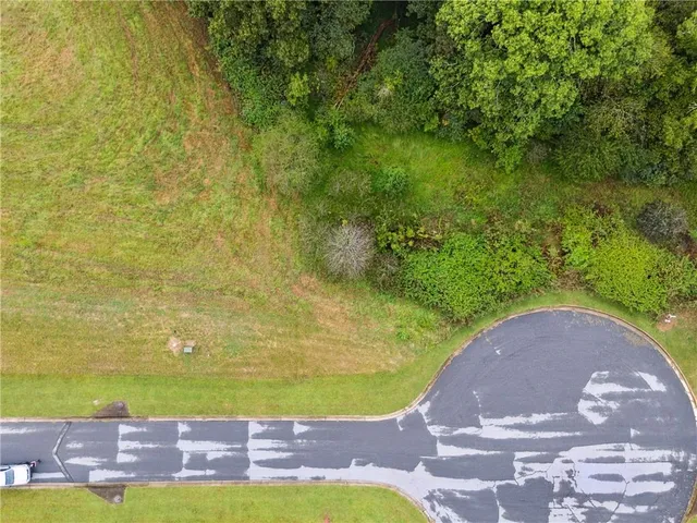 a view of outdoor space yard and green space