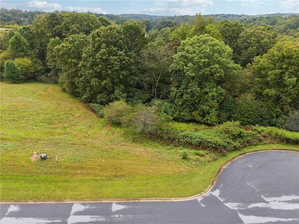 1091 Wind Dance Court Demorest, GA 30535 - Photo 2 of 6 a view of a ocean view