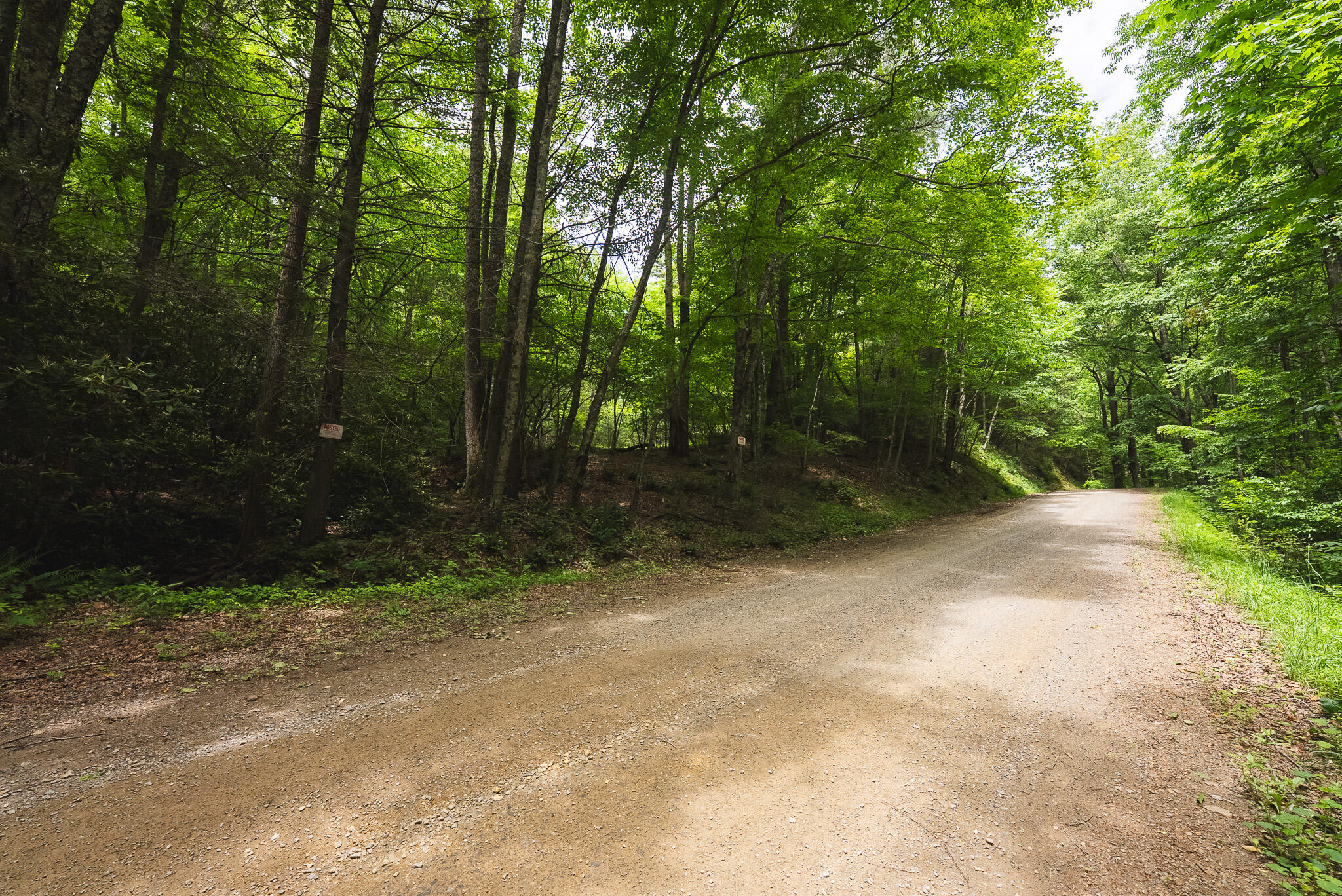 Tbd Macks Mountain Road Northwest Indian Valley, VA 24105 - Photo 45 of 45 DSC01634