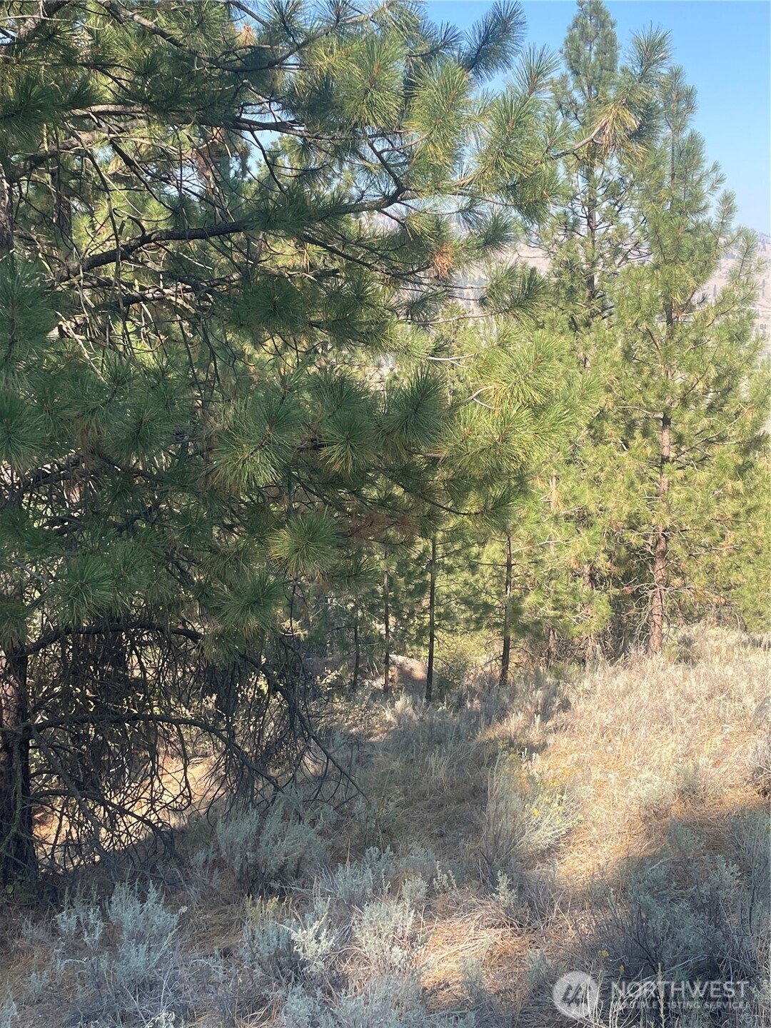 -tbd Reevas Basin Road Tonasket, WA 98855 - Photo 22 of 38