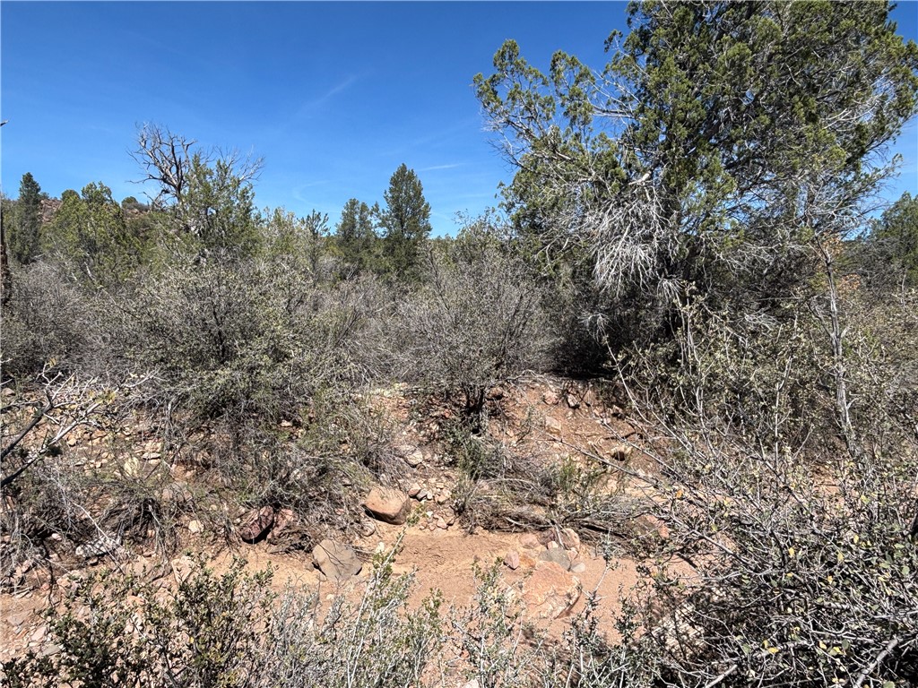 352-38-012 352-38-012 Badger Ridge Road Kingman, AZ 86401 - Photo 15 of 31