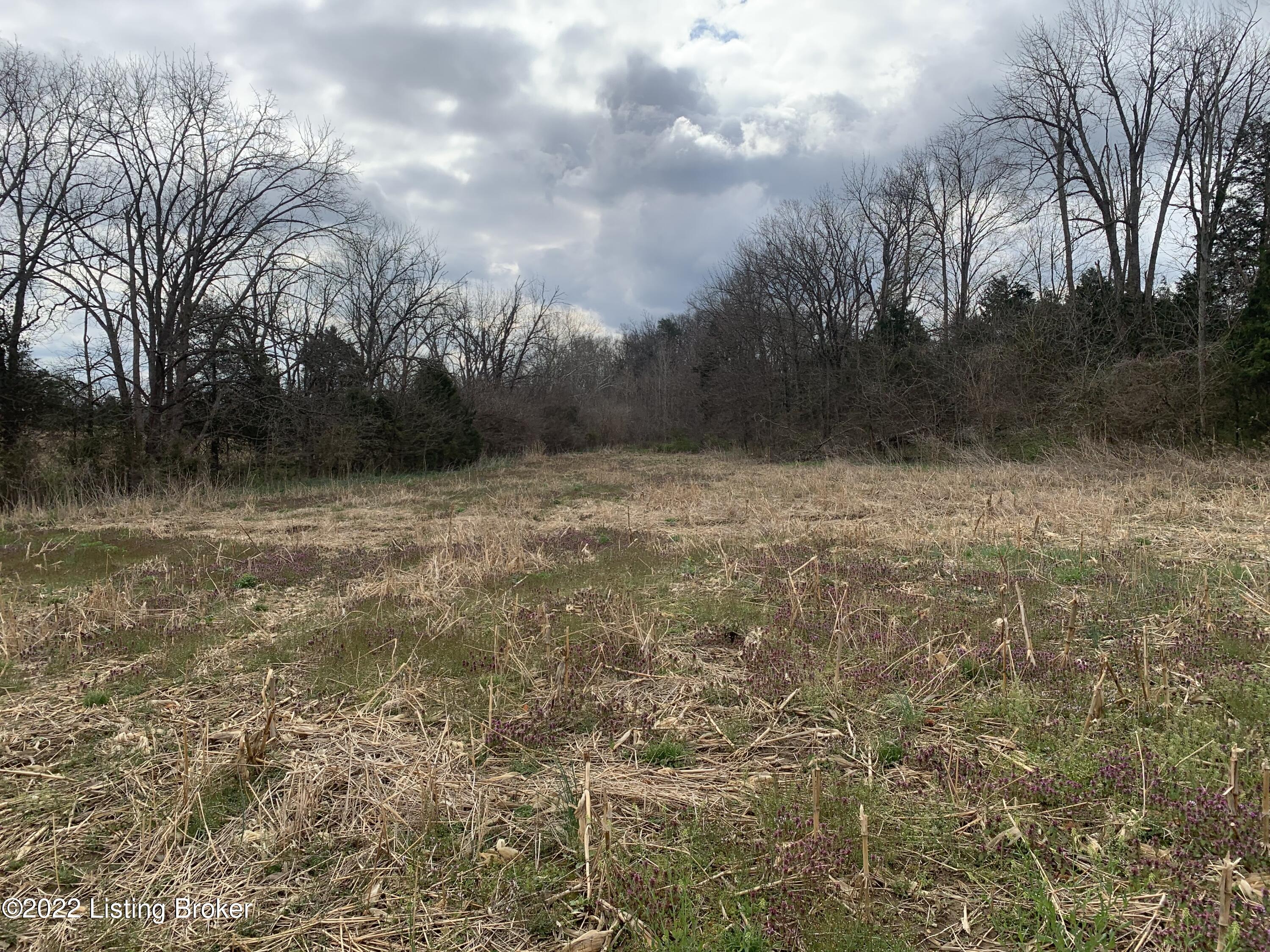 Tract#6 Samuels Road Bardstown, KY 40004 - Photo 4 of 10 IMG_5574