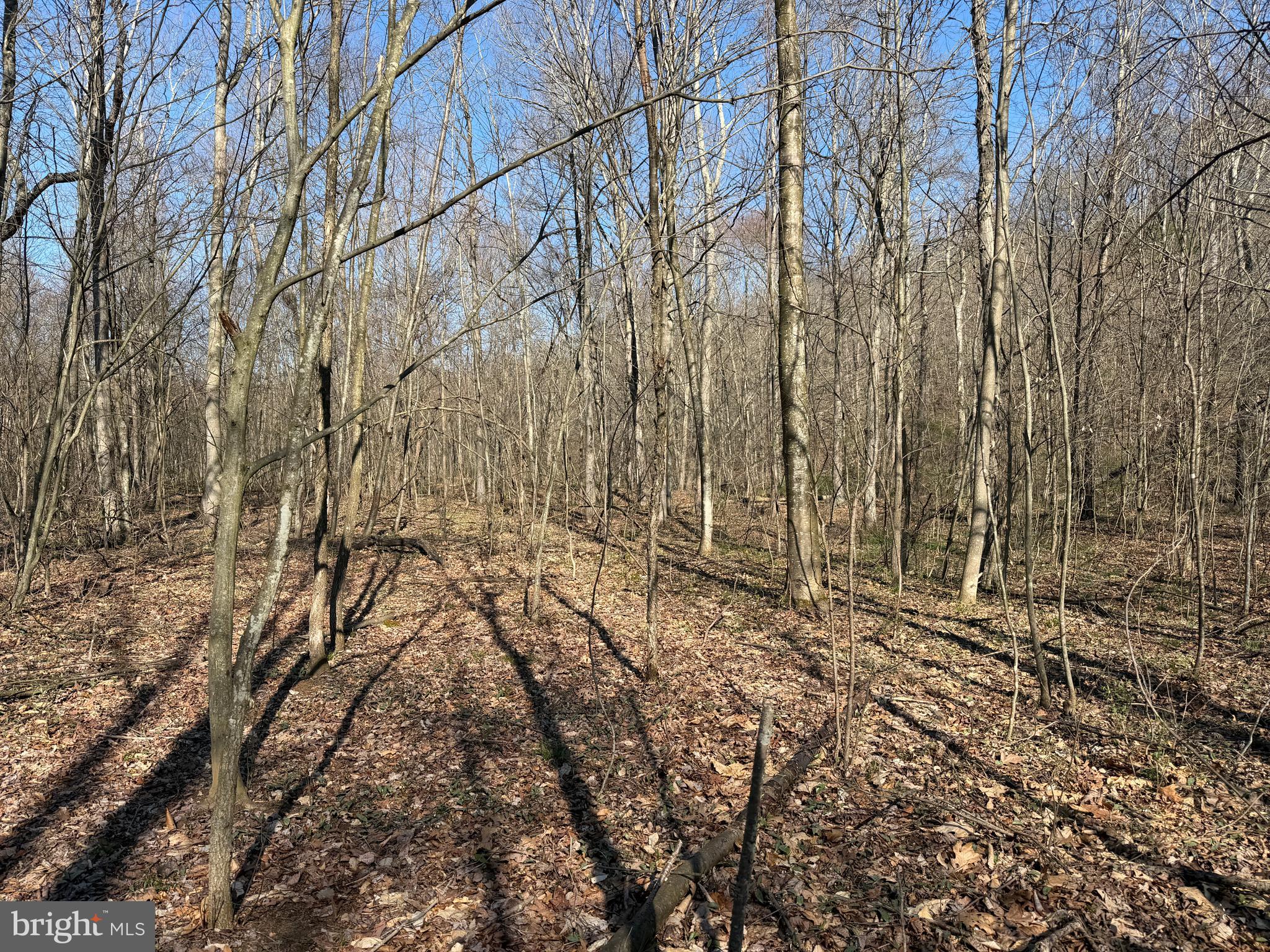 129-acres Black Hollow Road Schellsburg, PA 15559 - Photo 26 of 72