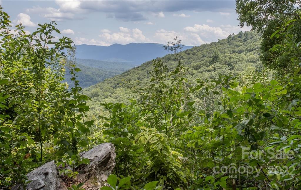 0 Parker Road Asheville, NC 28805 - Photo 11 of 23 Gallery Image 11