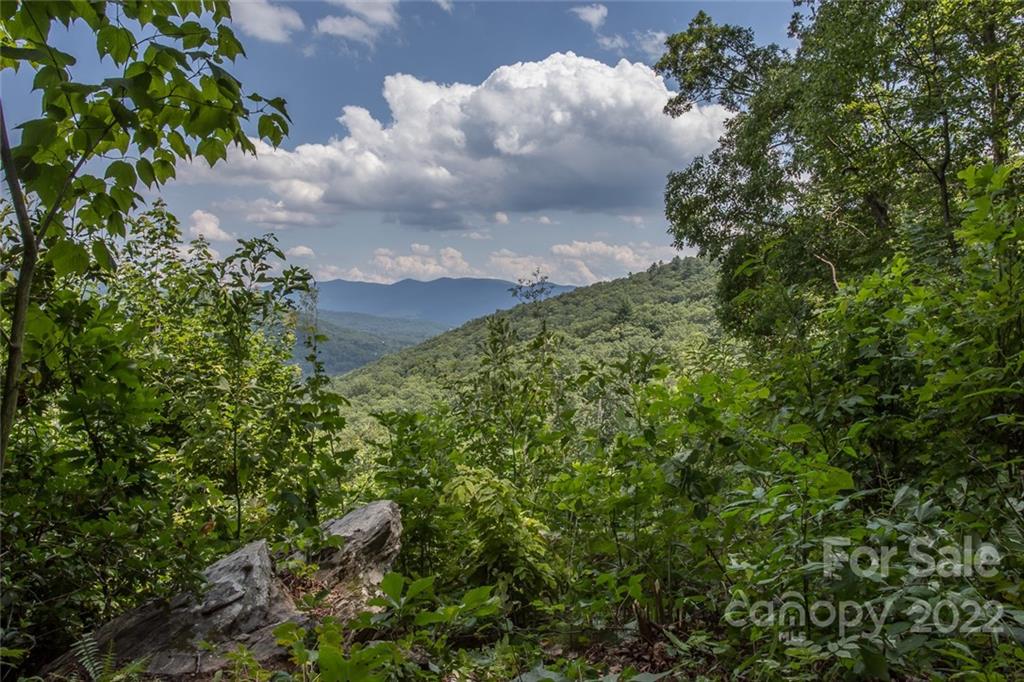 0 Parker Road Asheville, NC 28805 - Photo 12 of 23 Gallery Image 12