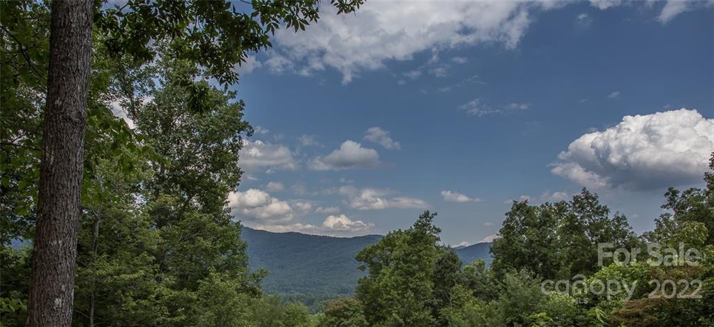 0 Parker Road Asheville, NC 28805 - Photo 15 of 23 Gallery Image 15