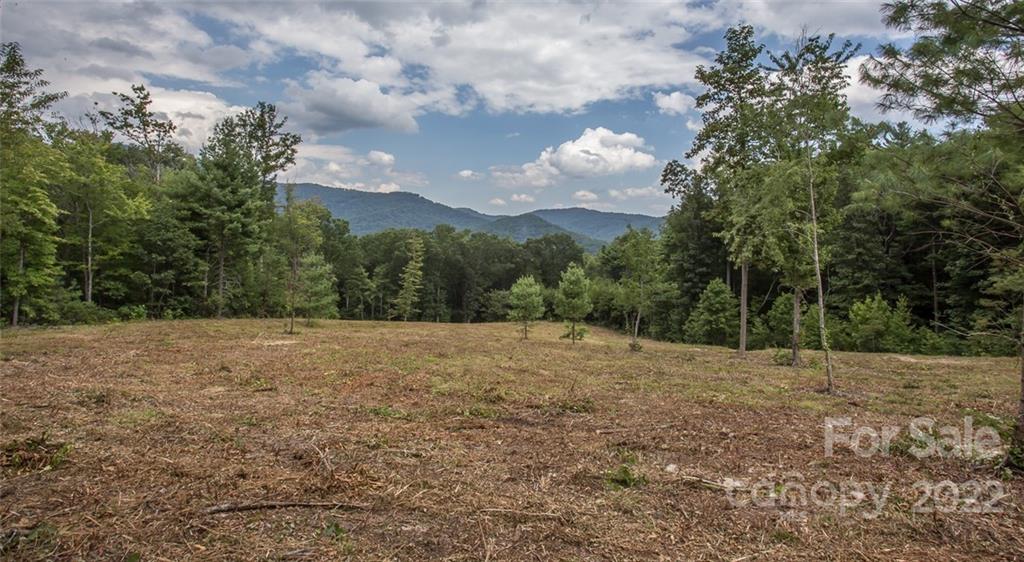 0 Parker Road Asheville, NC 28805 - Photo 16 of 23 Gallery Image 16