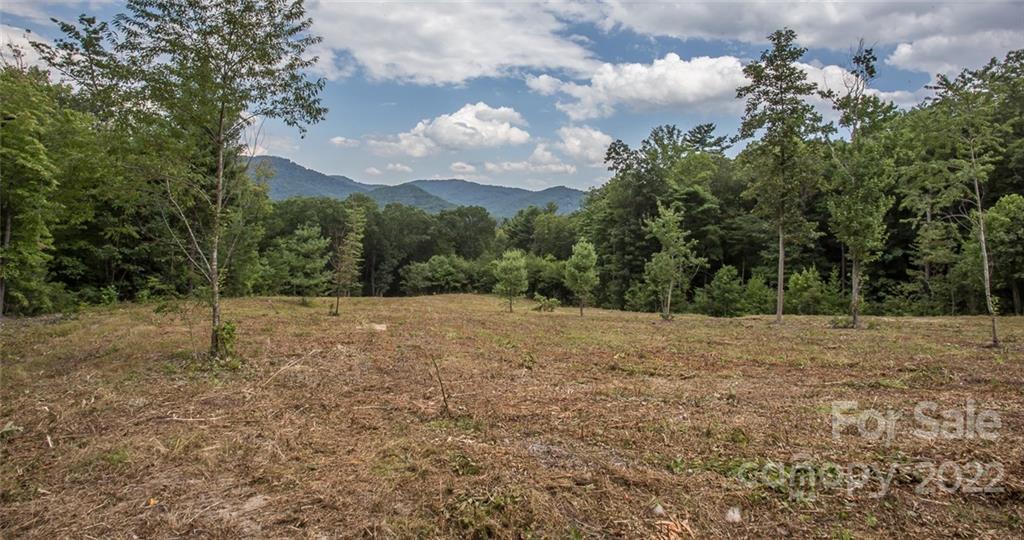 0 Parker Road Asheville, NC 28805 - Photo 17 of 23 Gallery Image 17