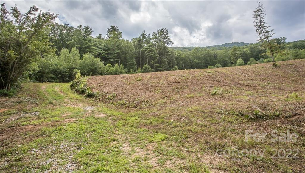 0 Parker Road Asheville, NC 28805 - Photo 18 of 23 Gallery Image 18