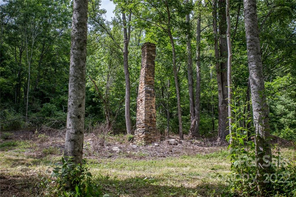 0 Parker Road Asheville, NC 28805 - Photo 20 of 23 Gallery Image 20