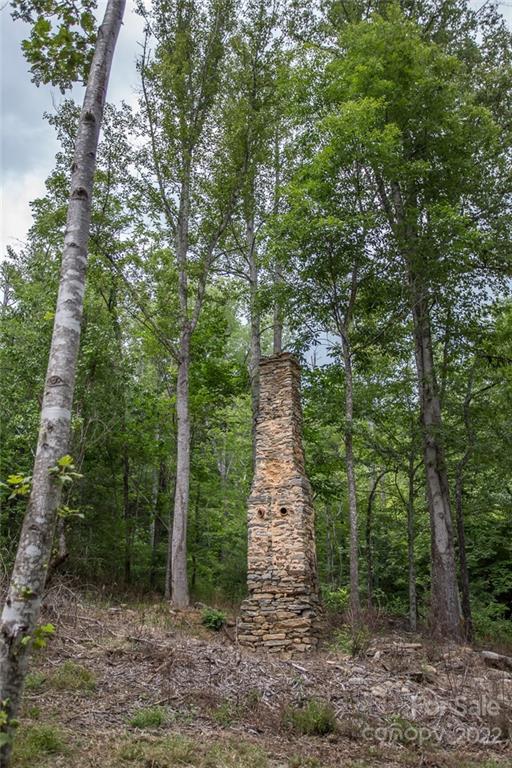 0 Parker Road Asheville, NC 28805 - Photo 21 of 23 Gallery Image 21