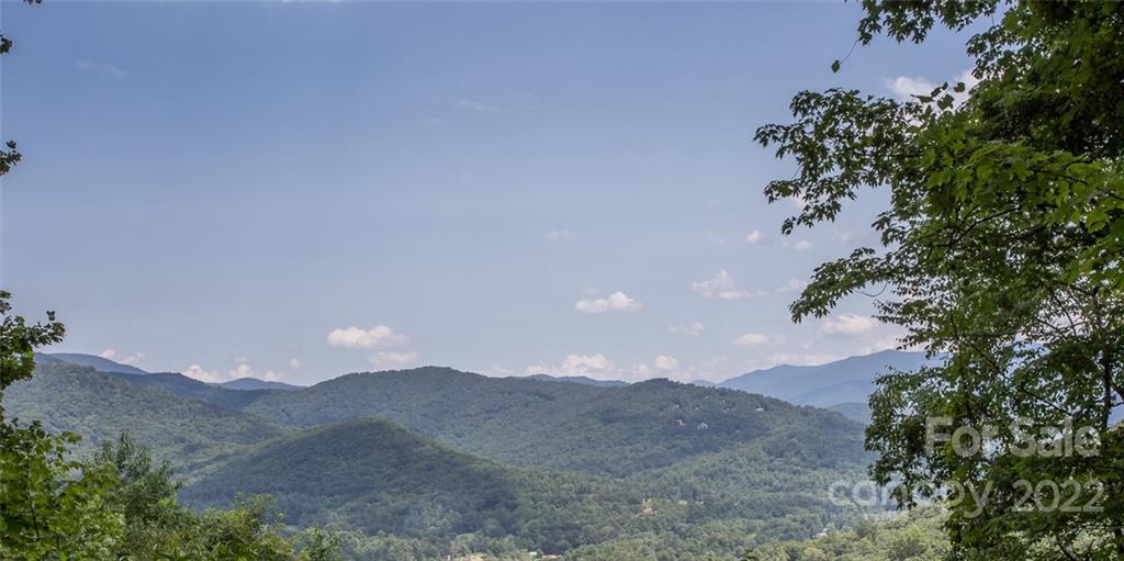 0 Parker Road Asheville, NC 28805 - Photo 8 of 23 Gallery Image 8
