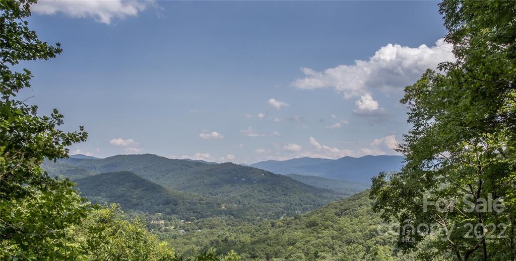0 Parker Road Asheville, NC 28805 - Photo 9 of 23 Gallery Image 9