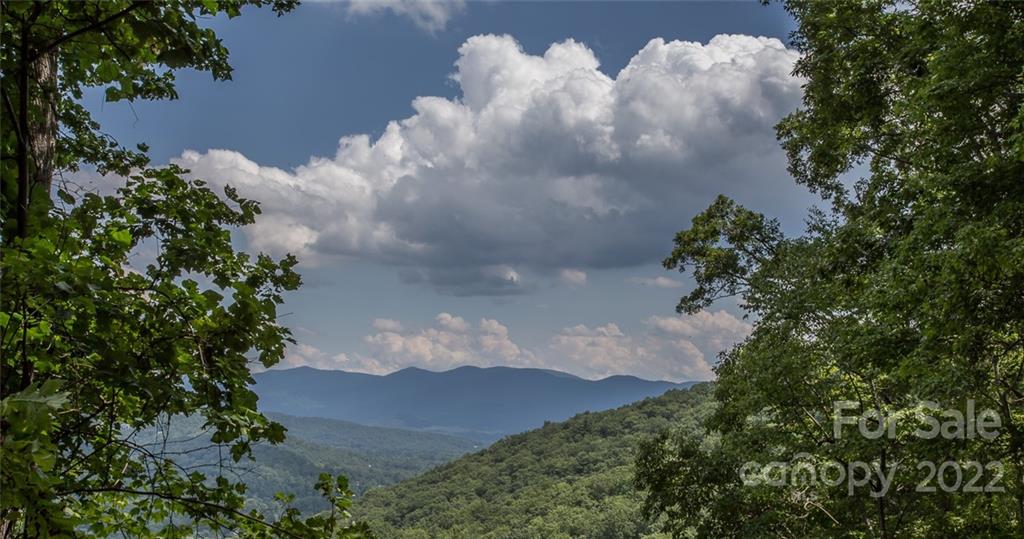 0 Parker Road Asheville, NC 28805 - Photo 10 of 23 Gallery Image 10