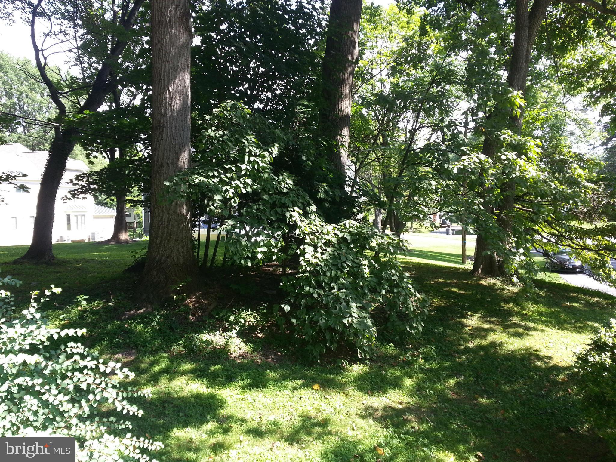 2554 Rambling Road Vienna, VA 22181 - Photo 24 of 28 Lot view.