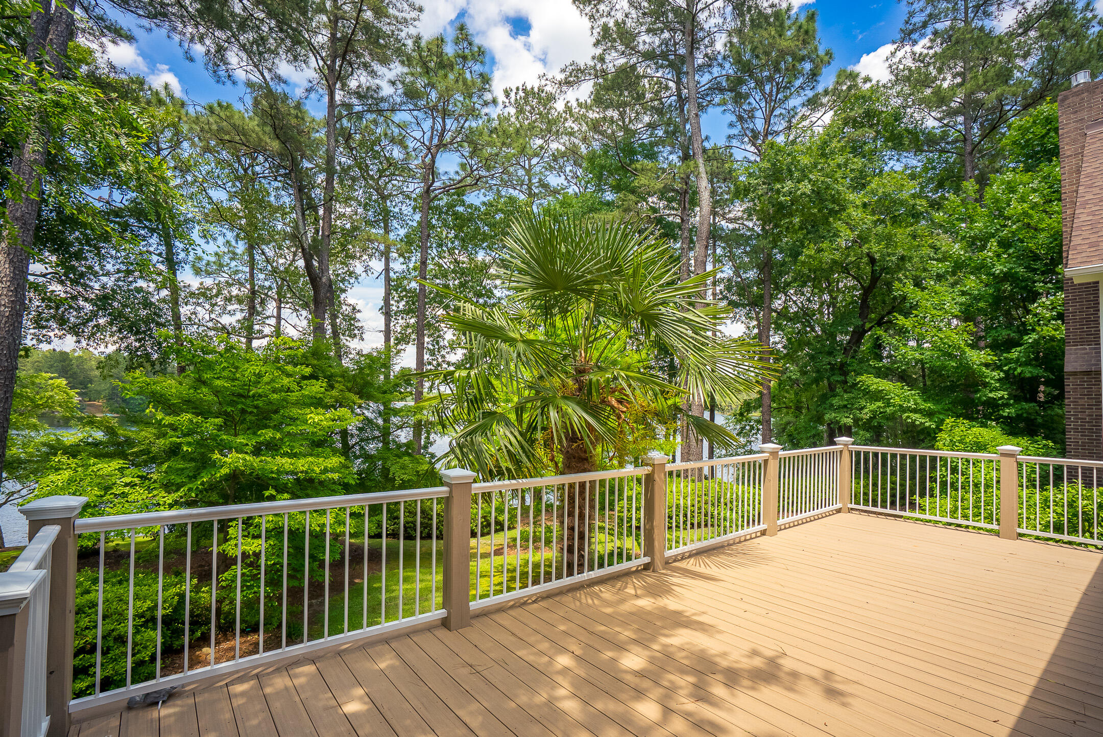1049 Edisto Lake Road Wagener, SC 29164 - Photo 33 of 96