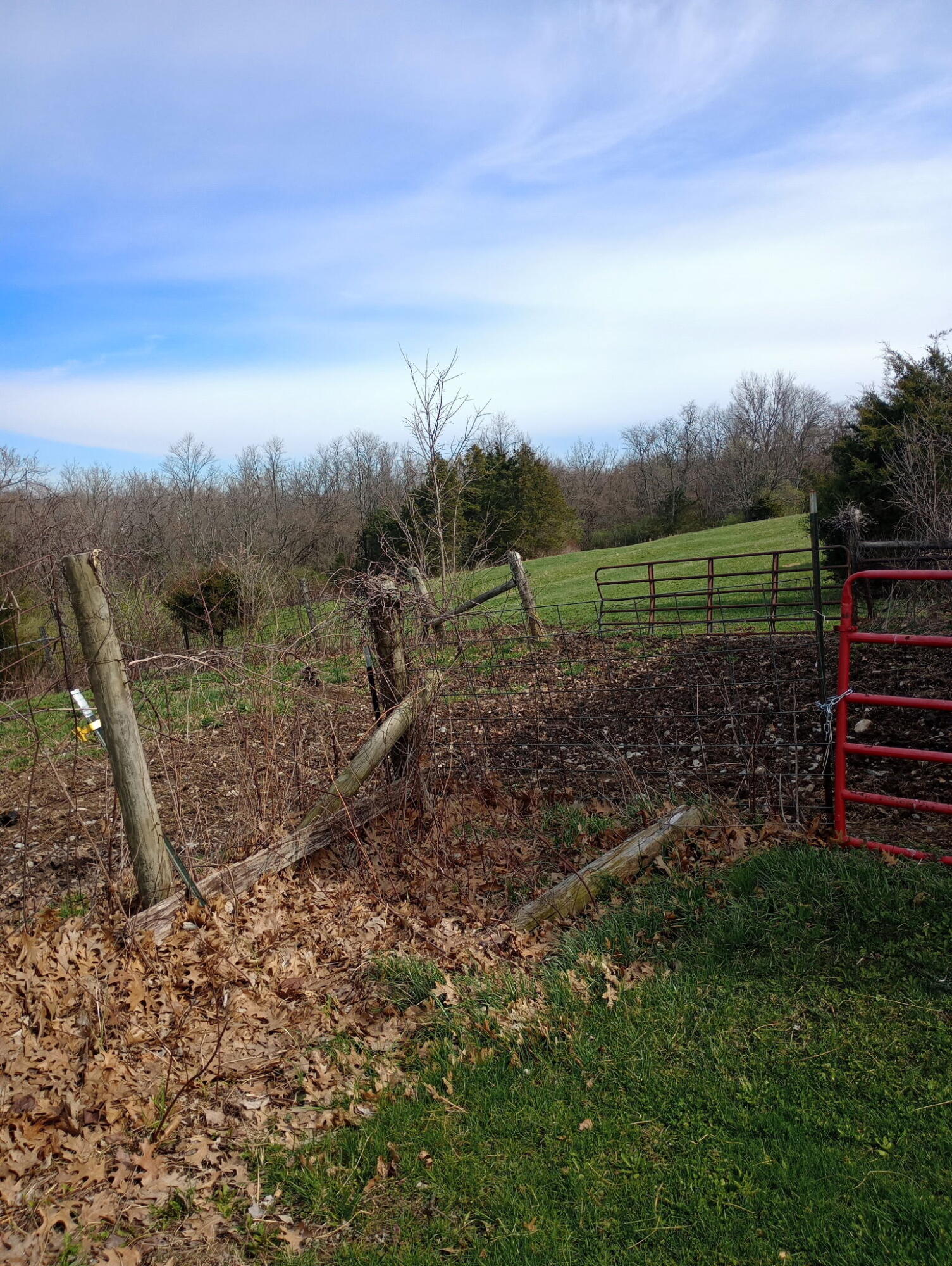 355 Mudlick Road Cynthiana, KY 41031 - Photo 21 of 31 5279082984422550899