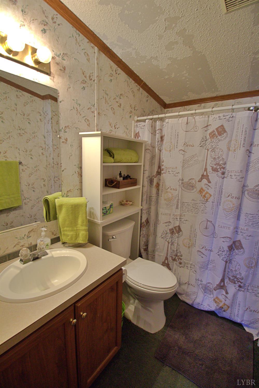 2112 Morning Star Road Appomattox, VA 24522 - Photo 21 of 24 a bathroom with a sink toilet and shower