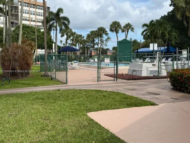 a view of a park with palm trees
