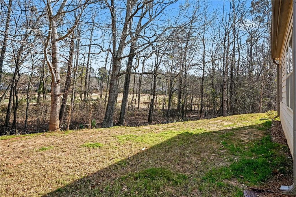 256 High Ct Way Locust Grove, GA 30248 - Photo 33 of 35