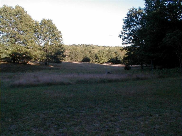 3209 East Hawley Road Custer, MI 49405 - Photo 15 of 17 Additional Photo