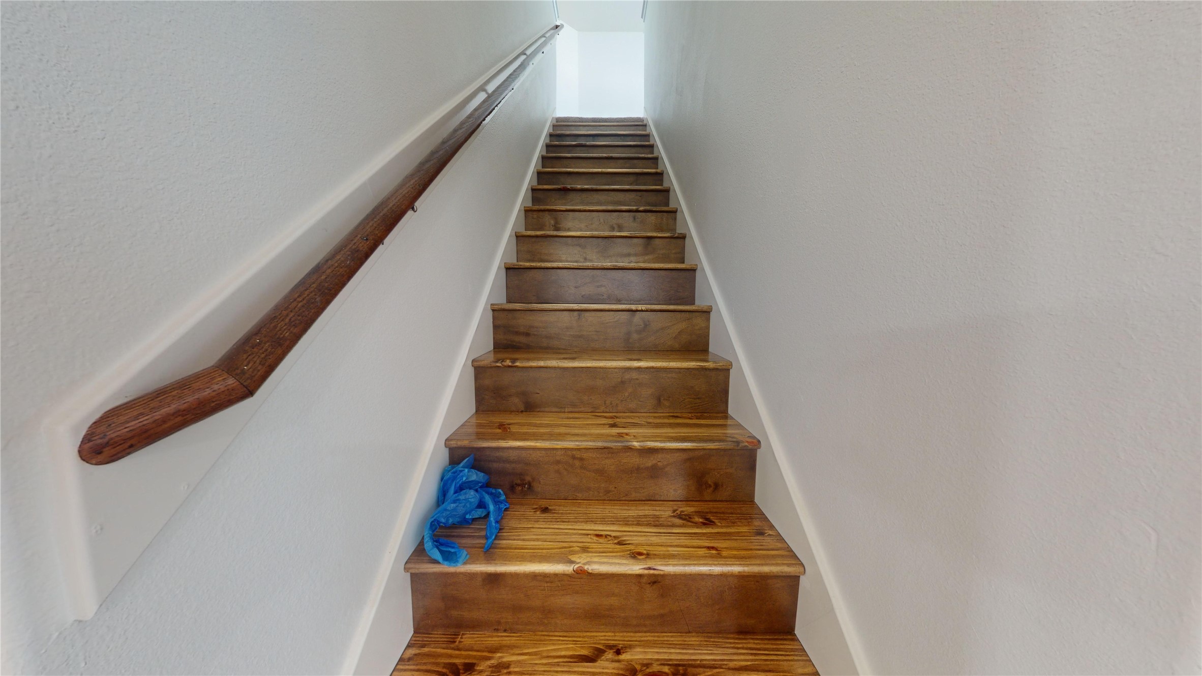 9419 Grand Spark Drive Rosharon, TX 77583 - Photo 23 of 50