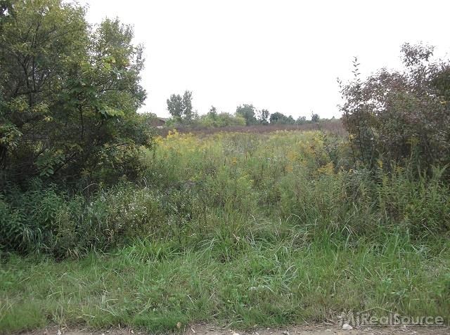 0 Metcalf Road Capac, MI 48014 - Photo 2 of 14