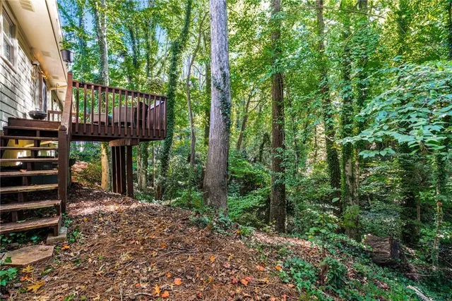 a view of a patio with plants and large trees
