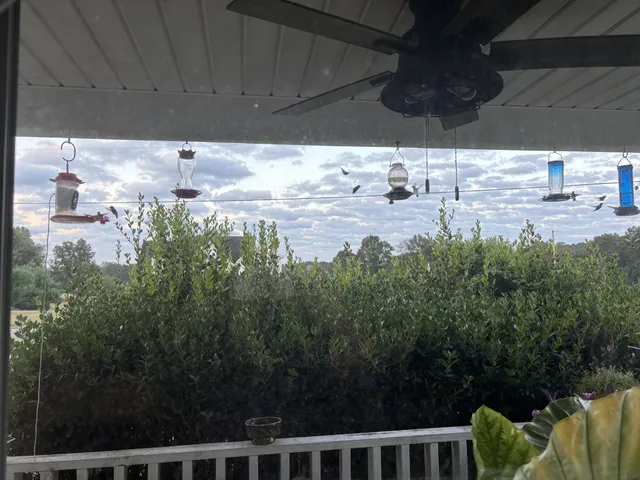 $469,995 | 501 Fawn Court, Burns, TN 37029