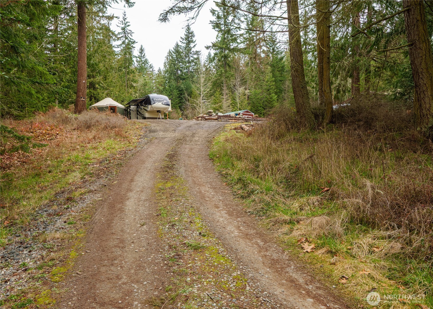 a view of a dirt road with trees in the background