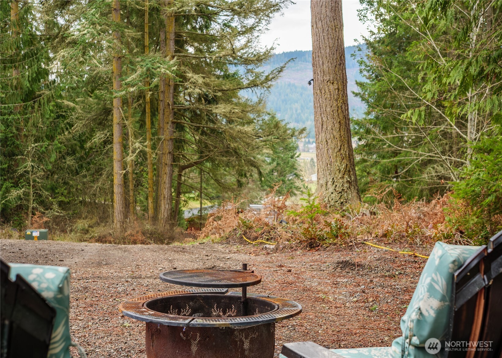 193 Springwater Lane Sequim, WA 98382 - Photo 11 of 40 a view of a yard with plants