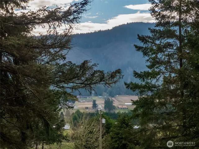a view of a yard in front of the house