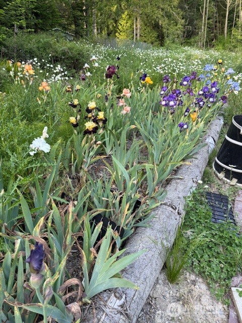 193 Springwater Lane Sequim, WA 98382 - Photo 38 of 40 a view of a flower in a garden with flowers