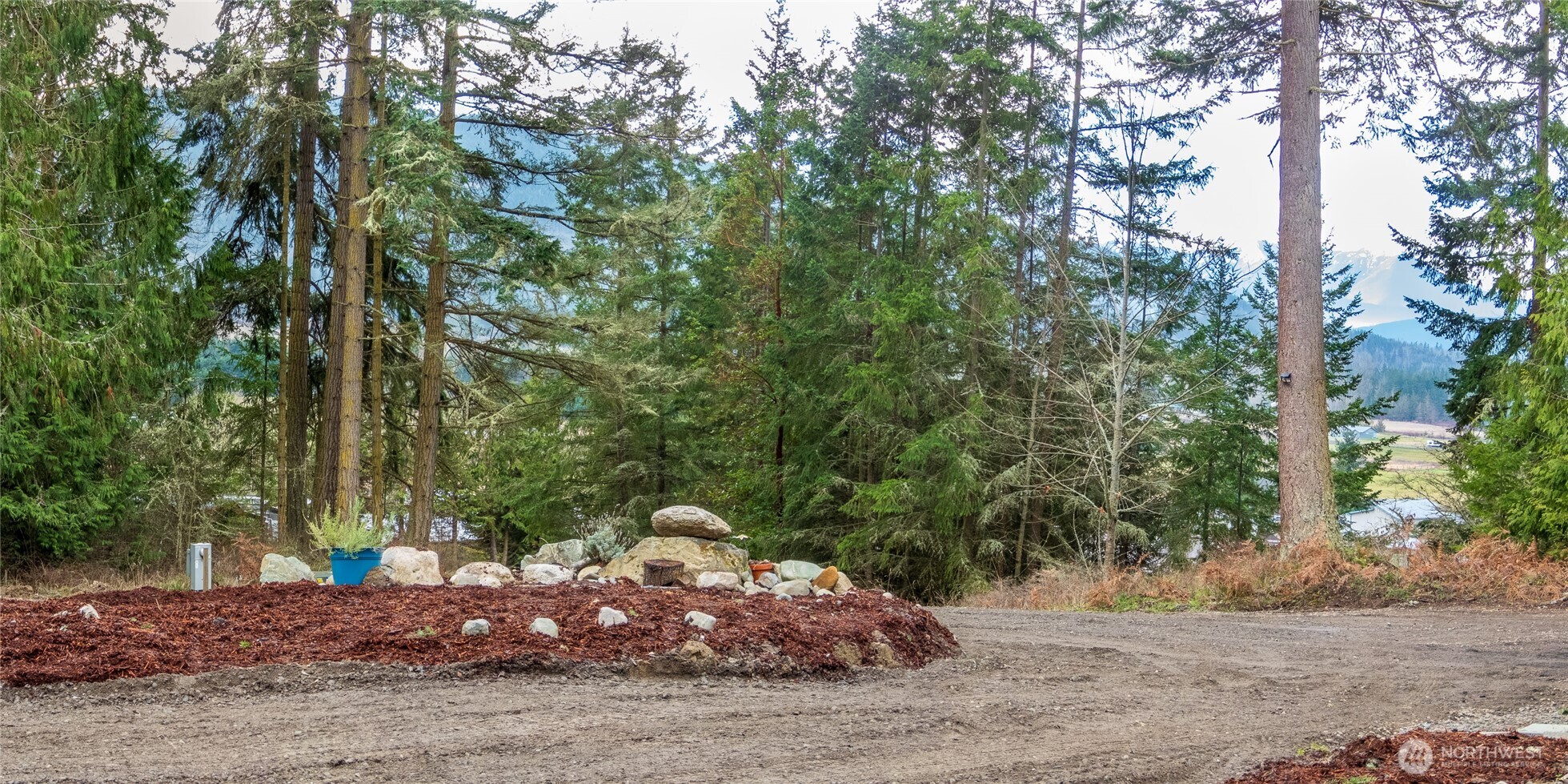193 Springwater Lane Sequim, WA 98382 - Photo 5 of 40 a view of a yard with plants and trees
