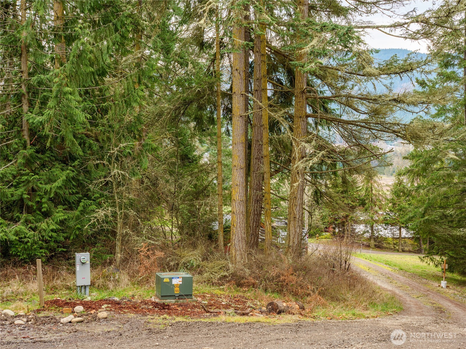 193 Springwater Lane Sequim, WA 98382 - Photo 10 of 36