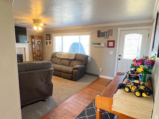 1852 East 3500th Street South Vernal, UT 84078 - Photo 10 of 46 Living area with light wood-style flooring, a tiled fireplace, a ceiling fan, a textured ceiling, and ornamental molding