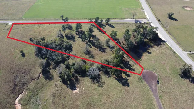 a close up of a plant