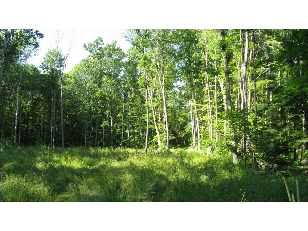 Lot 53 Stone Road Gilmanton Iron Works, NH 03837 - Photo 8 of 18