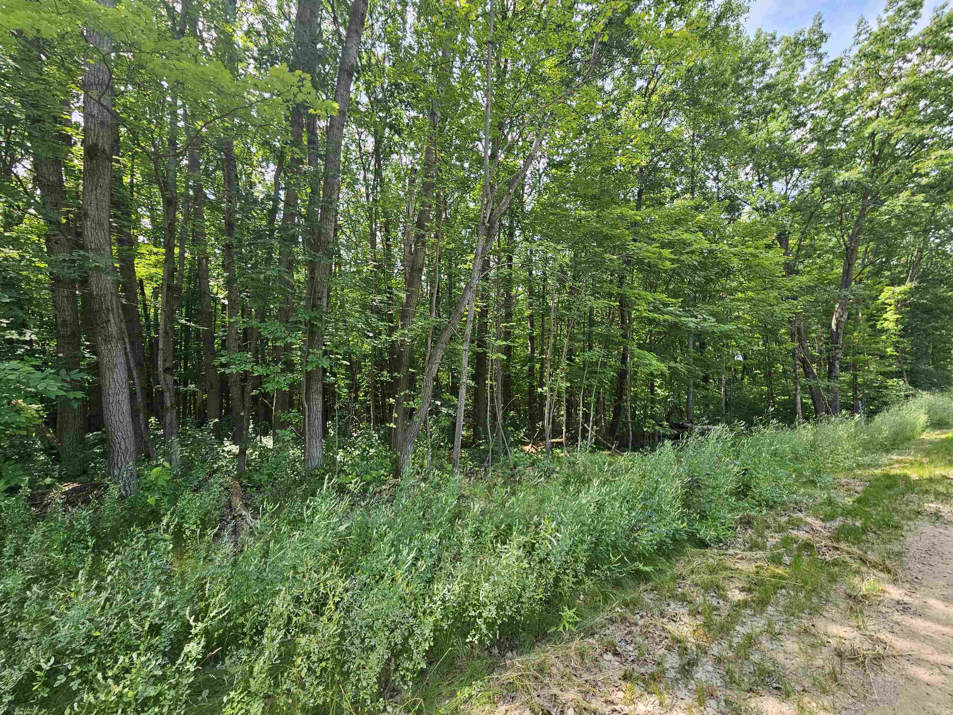 Nhn East Clarence Road Harrison, MI 48625 - Photo 2 of 5 Gallery Image 2