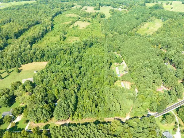 a view of a garden