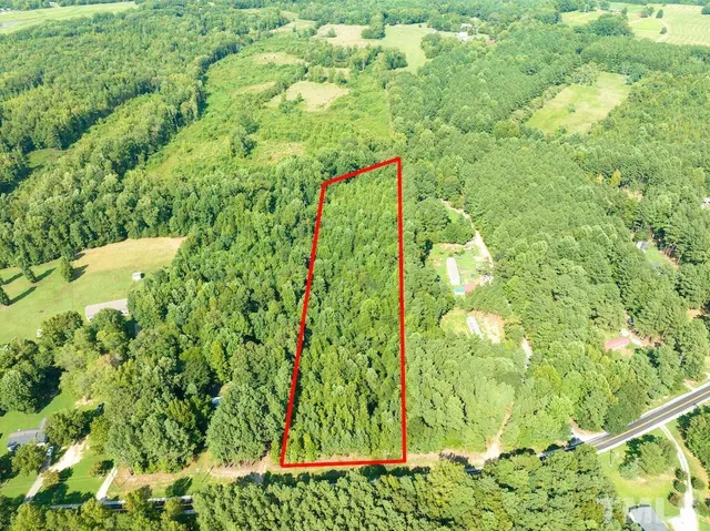 a close up of a flower in a garden